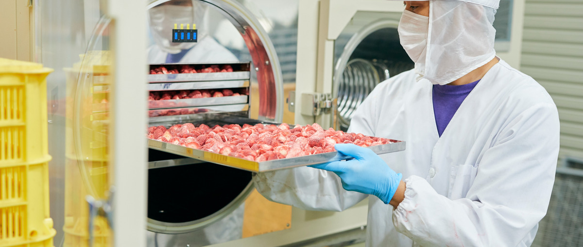 明治36年開墾！歴史ある農園で栽培した果物の加工作業！アルバイトからもＯＫ