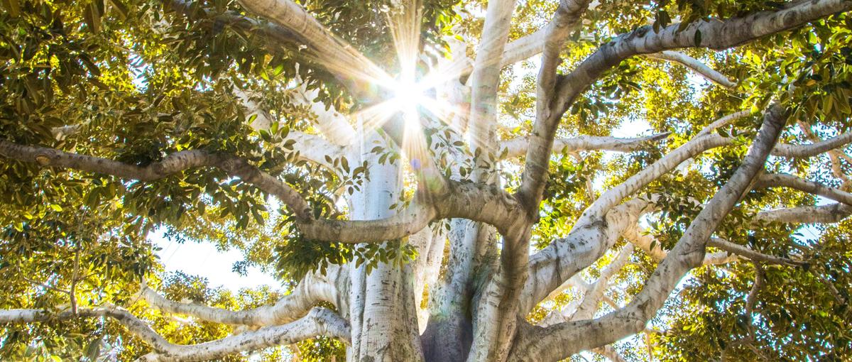 ミクロの世界で、グローバルを動かす挑戦を。