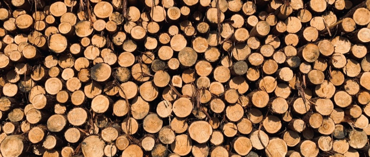 材”を売るな、価値を売れ。最適化された流通で森を動かす営業募集