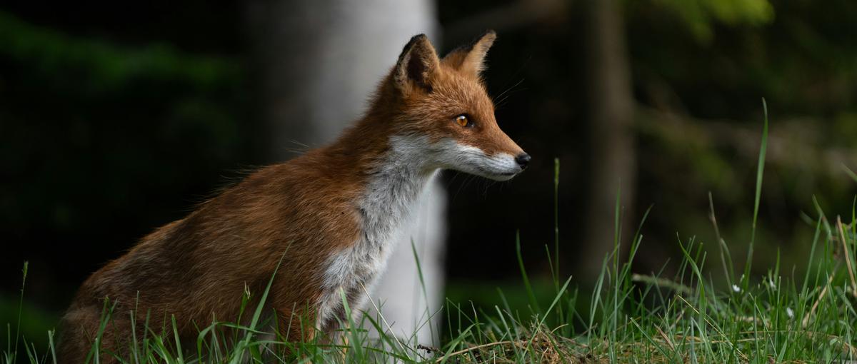 第二新卒|新しい冒険に出かけよう。