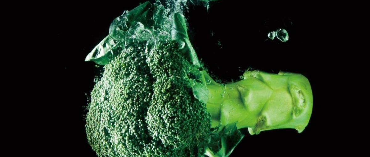 健康×WEBマーケで圧倒的成果を出したい。そう思ったなら、うちに来い。