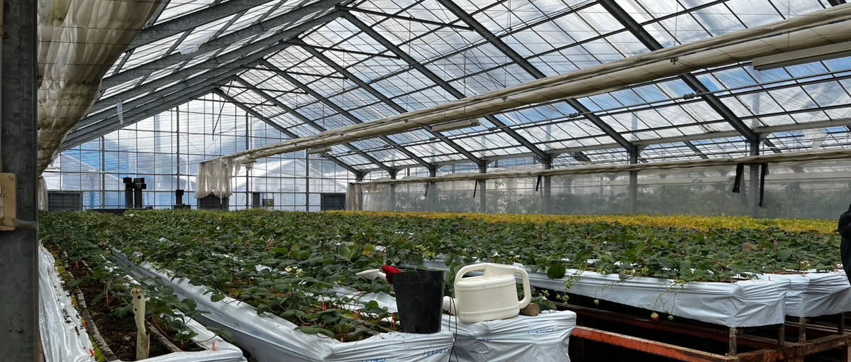 新規事業立ち上げ！ホテル直営の自社農園として価値を最大化できる方募集！