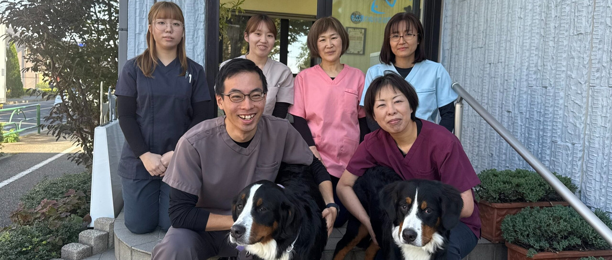急成長の動物病院　 KINS WITH動物病院 立川院　動物看護師募集
