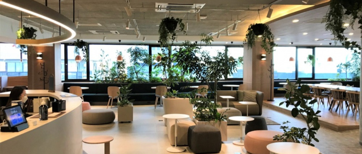 日本の音楽・エンタメを世界へ。分析や仮説検証が好き/得意なインターン募集！