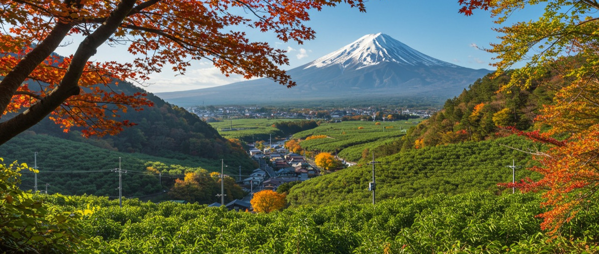 27卒｜日本全国の50以上の地域と連携！地域活性化を0から推進します！