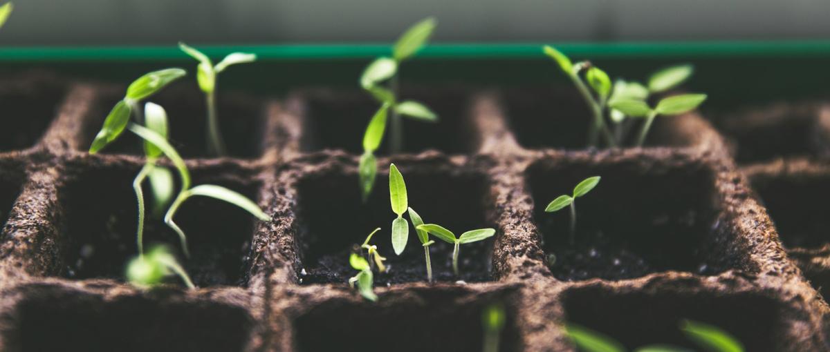 エネルギー×AIの新規WEBアプリ構築に挑戦したい学生インターン募集！