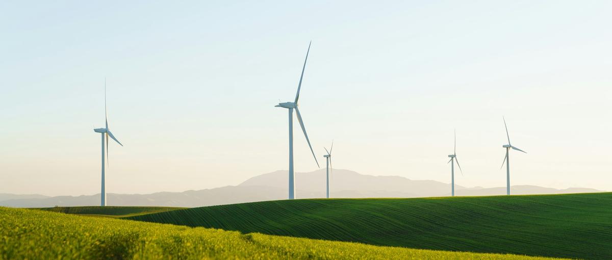 グリーンテック企業でプロダクトの広報・営業を経験したい学生を募集！