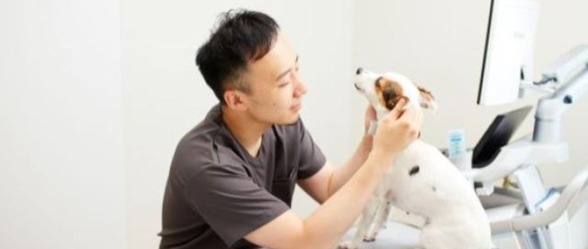 KINS WITH 動物病院＠立川：獣医師：一般、歯科、皮膚科