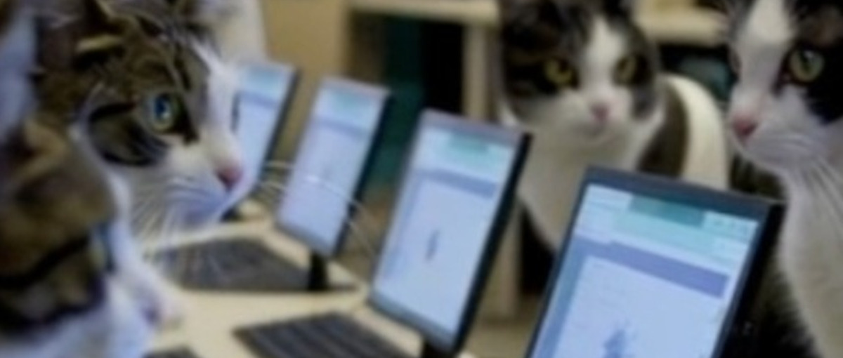 カスタマーサポートチームメンバー募集！