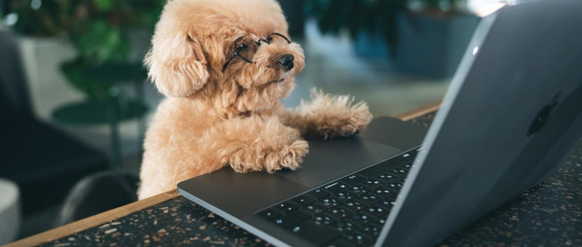 サービス全体を支え成長を加速させるインフラエンジニアを大募集！＠福岡