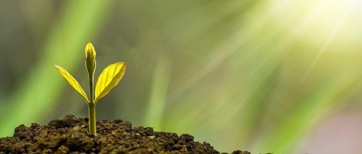 LLMと一緒に働く時代。RAGで仕掛けるデータサイエンティストになろう！