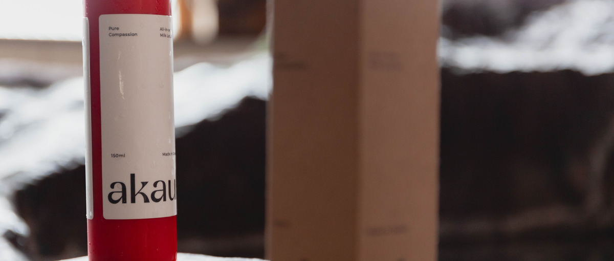 地方から再スタート！秋田の豊かな自然とITスキルを手に入れたい方必見！