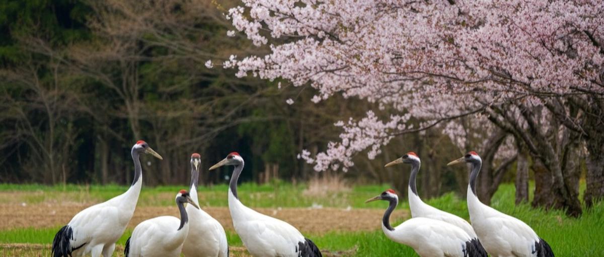 観光業での経験を活かして、地方創生に携わりませんか？