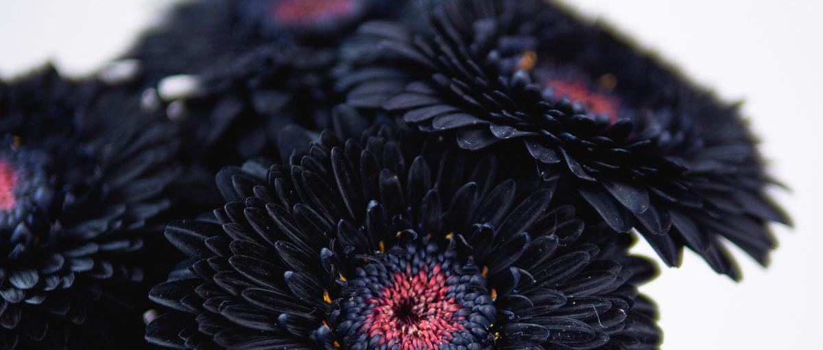  花×ITという新しいフィールドであなたの営業力を試しませんか？