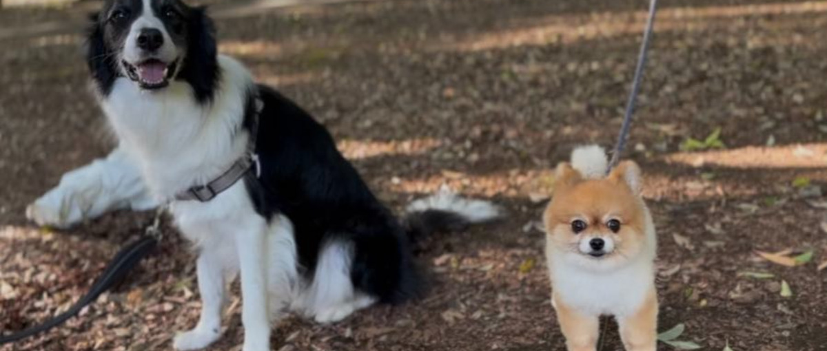 ペットの健康の悩みに寄り添う！ブランドの顔となるカスタマーサポートを募集！