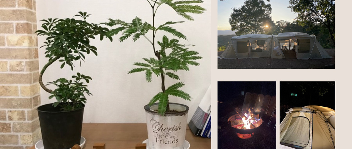 考えて、試して、成長する。提案型Web開発に一歩踏み出そう