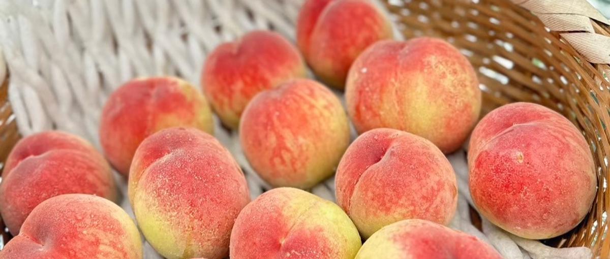 IT×農業×地方創生。挑戦好きなエンジニア求む！