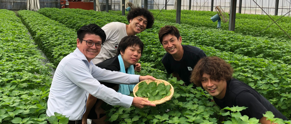 卸売営業／成長事業の最前線で貢献！市場と連携し農産物の新たな流通を創る