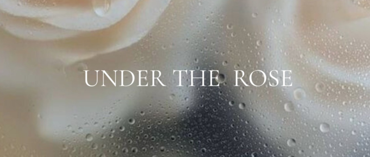 アパレルや美容好き大歓迎！ランジェリーブランドの運営サポート募集