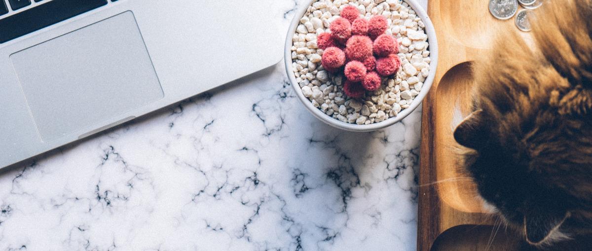 生成LLM案件でPythonエンジニア募集します