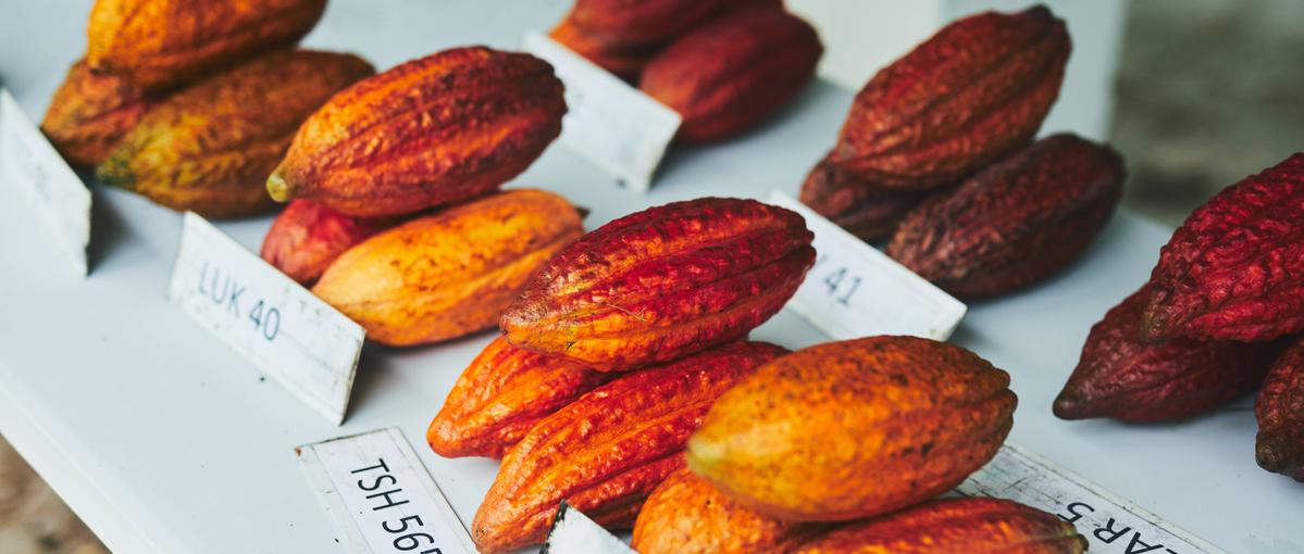 未来を共創する営業へ。 素材ブランド：VIDAの営業職を募集！