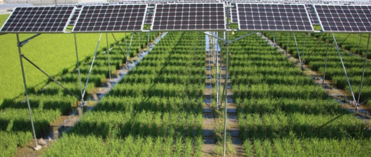 太陽光発電・太陽光パネルのセールス経験者を募集！