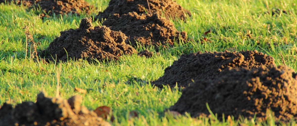  誰一人取り残さない、持続可能な世界・日本