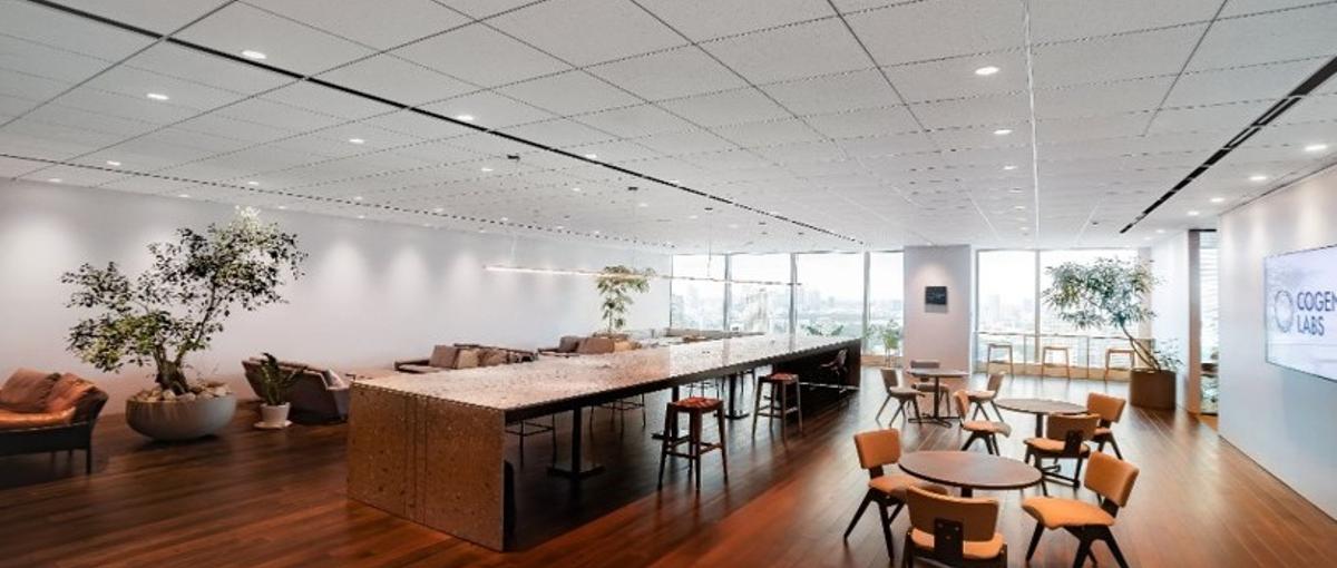 AI/テクノロジー 自社プロダクトの成長を牽引するマーケティングスタッフ