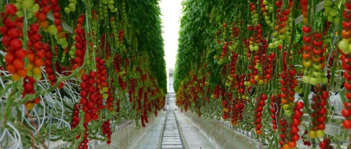 山梨｜地方からの変革を支える！会社の成長に直結する経理担当の一員に！