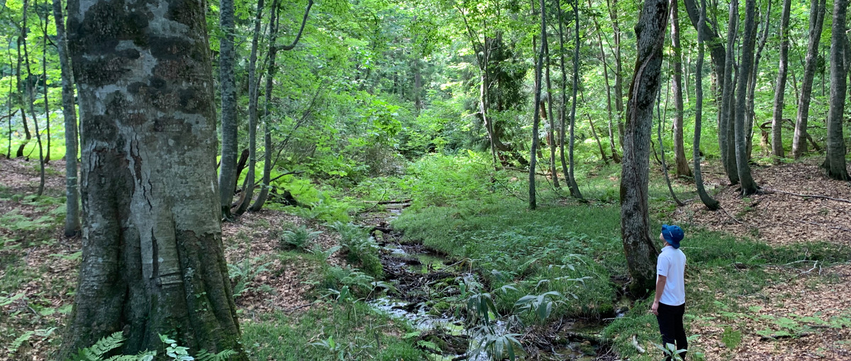 世界自然遺産の麓　３から８を作るプランナーよ来れ！