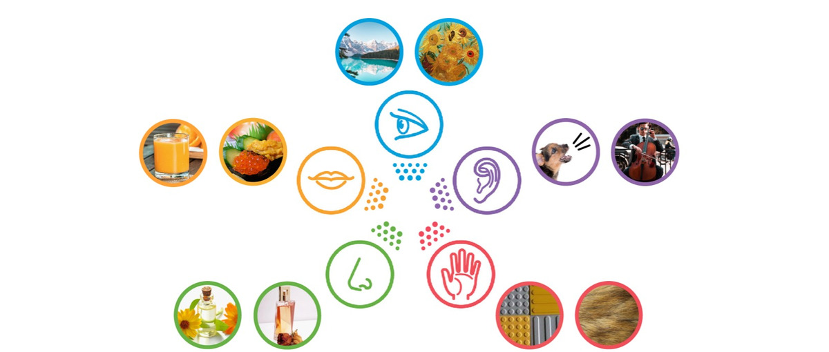 最先端の五感研究をサポート！心理学実験アシスタント募集