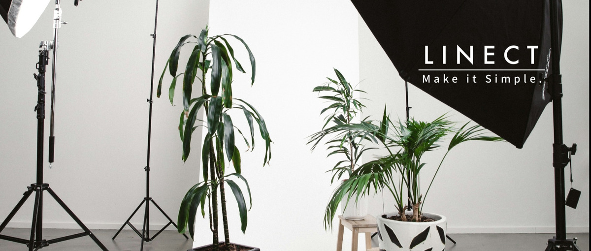 自社ブランドのビジュアル戦略｜急成長D2Cベンチャーのフォトグラファー