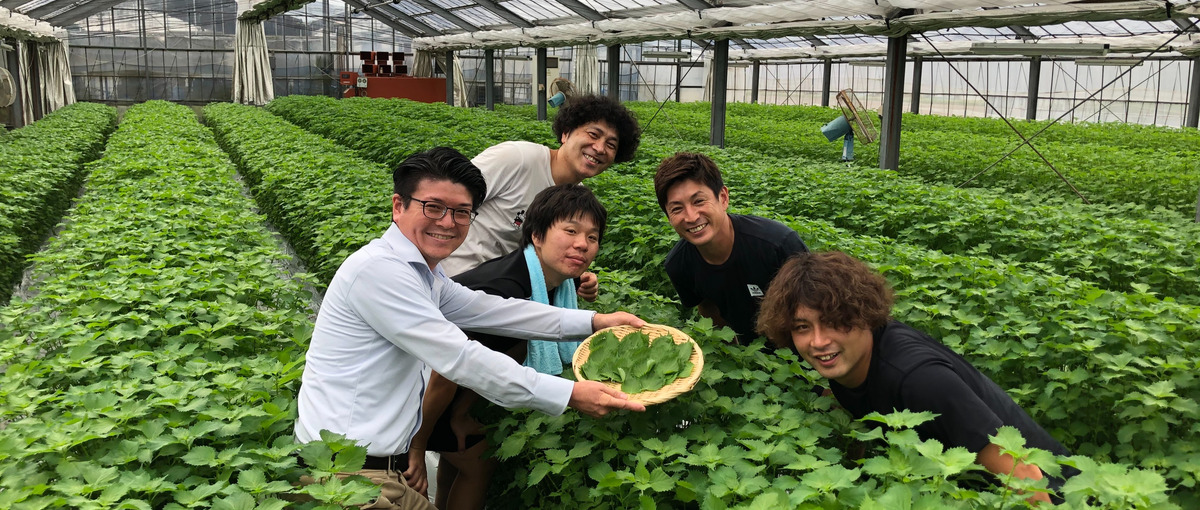 交渉力と提案力が試される！変化の激しい生鮮食品の安定流通を担う営業担当