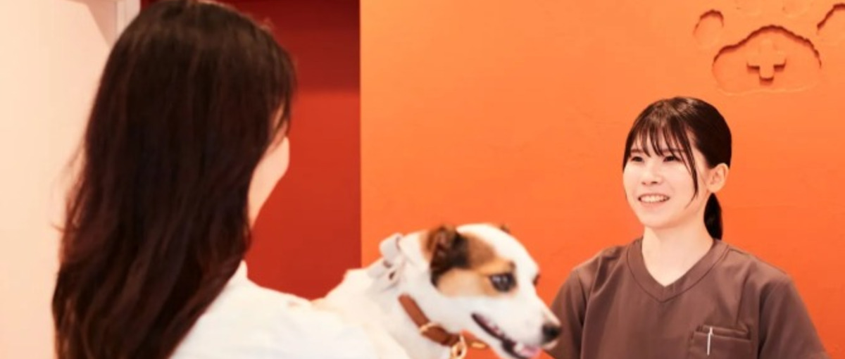 KINS WITH 動物病院 立川院 / 受付募集　パート・アルバイト