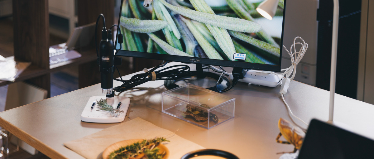 加賀市で働く。幼児教育✕まちづくり プロジェクト推進コーディネーター