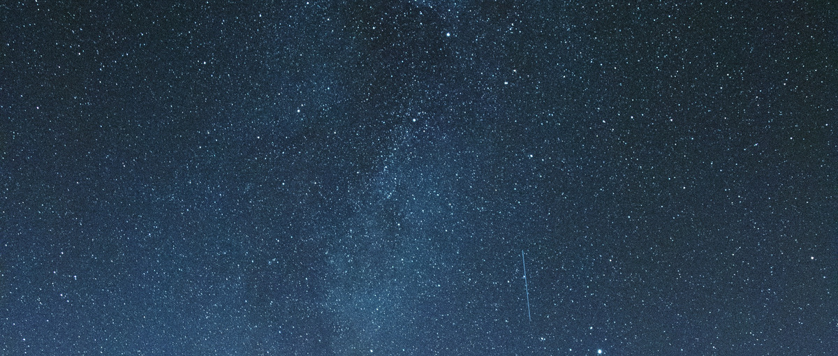 変化に強い組織で働く｜多角化による安定感を実感