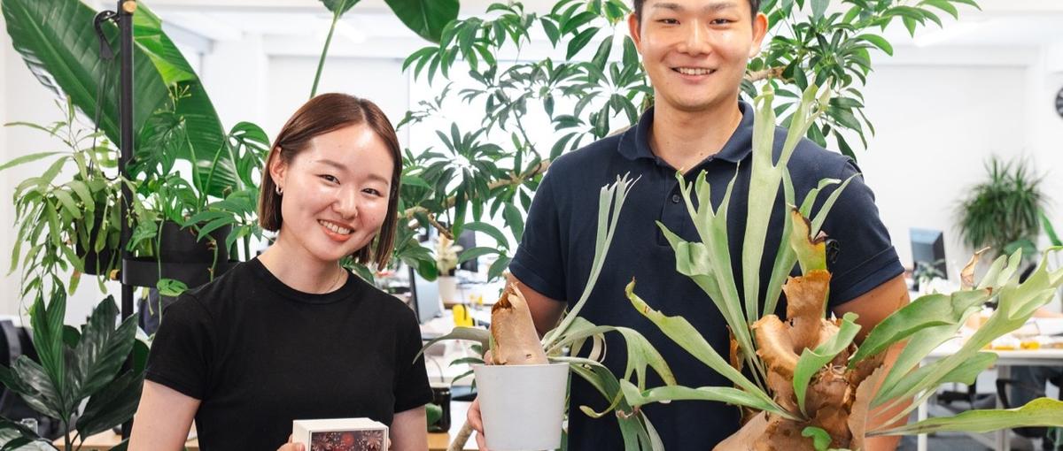 お花ECの法人営業。フワラースタートアップの事業責任者候補＆中核メンバー