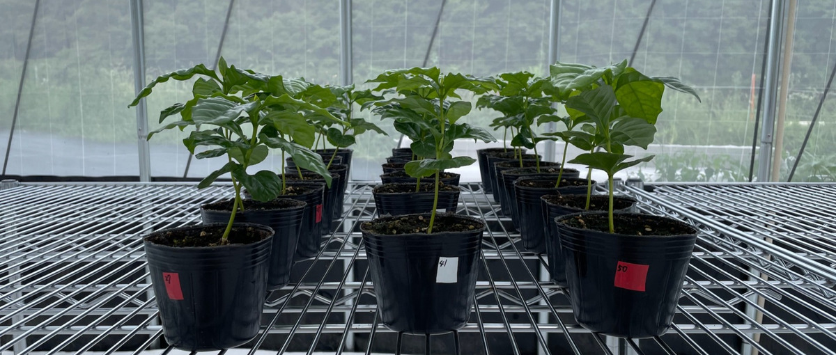 農業課題を化学で解く、農業ベンチャーの研究開発