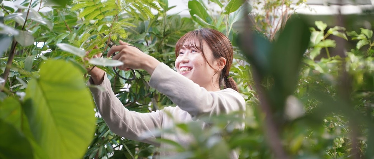 オフィスに森を。暮らしに緑を。