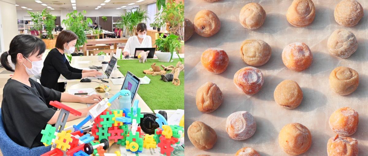 食品開発｜伝統食材を化学と企画の力で社会に再提案しよう！一緒に。楽しいよ。