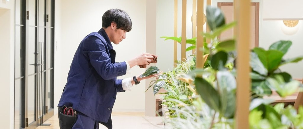 GREEN DESIGNでオフィスを彩る、新しい仲間を募集