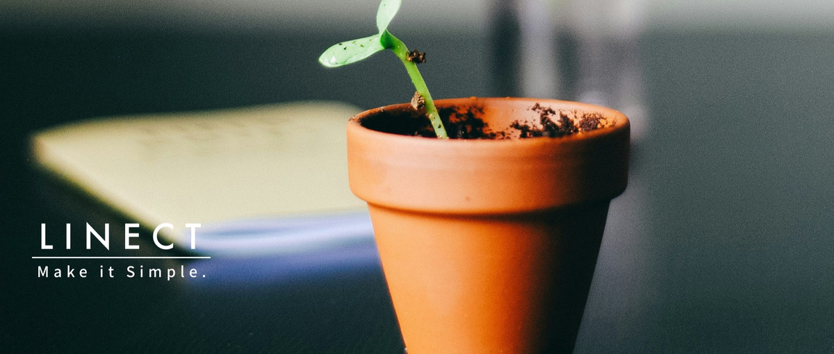 信頼ベースの課題解決｜スピード感ある成長、本質に拘るコンサルメンバー募集！