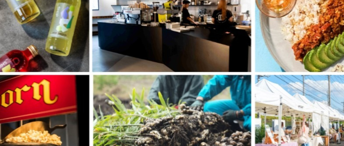 発酵スパークリングティー×プラントベースカフェ事業を牽引するリーダー募集