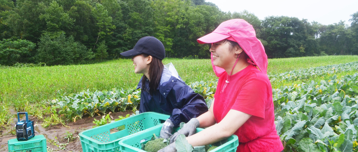 地方創生・成長できる環境・旅　東京から地方を盛り上げる法人営業！！