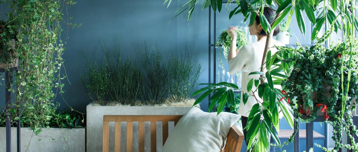 植物に溢れるオフィス空間を提案！経験者歓迎の法人向け企画営業職募集