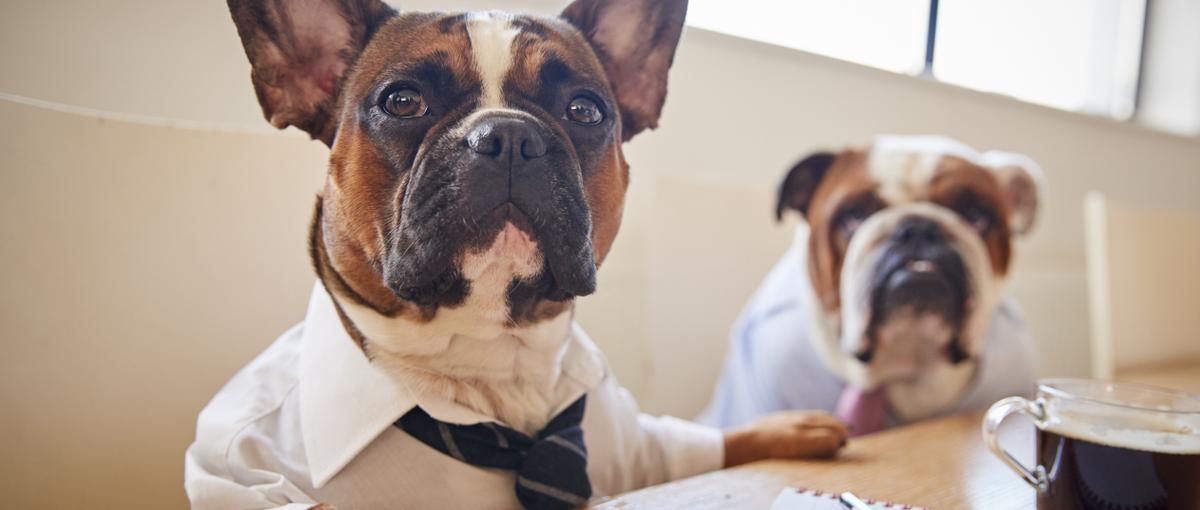 あなたのキャリアに合ったポジションをご提案！まずはお話からしませんか？