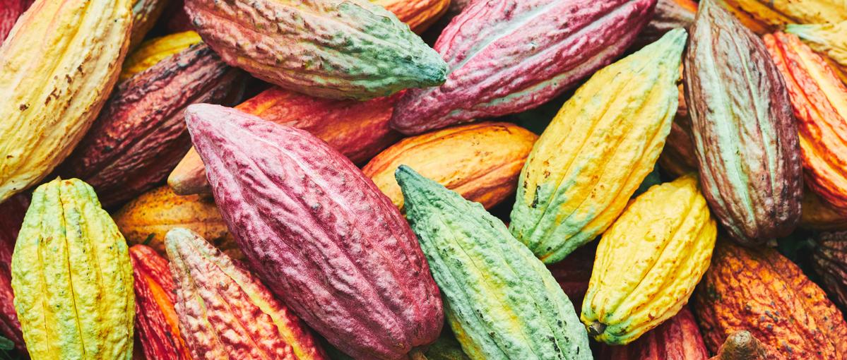 オープンポジション採用。ブランドの未来をつくる専門職へ。