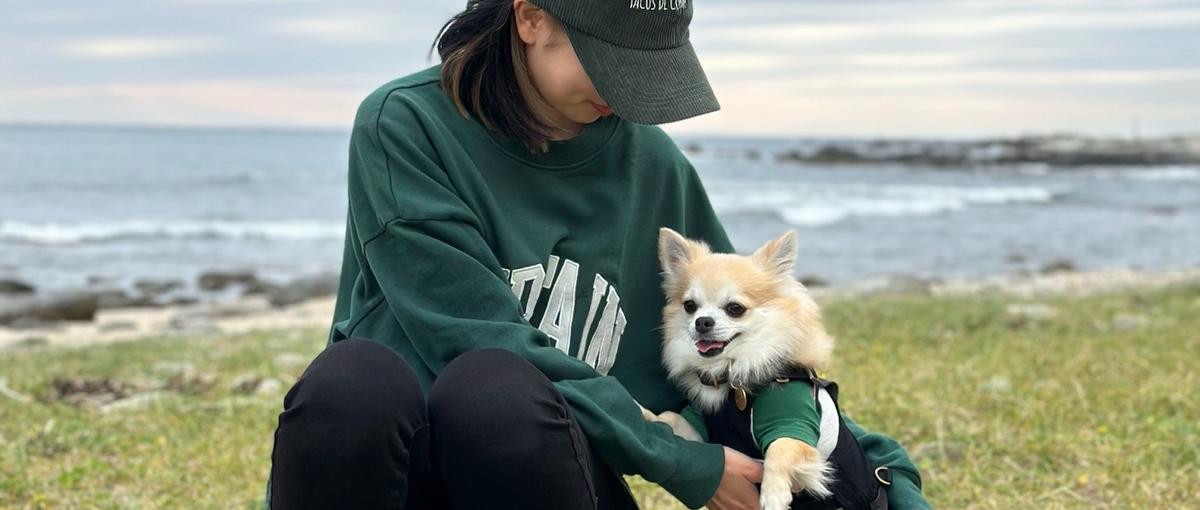 犬好き必見！WagMog開発を担うWebエンジニア募集！！