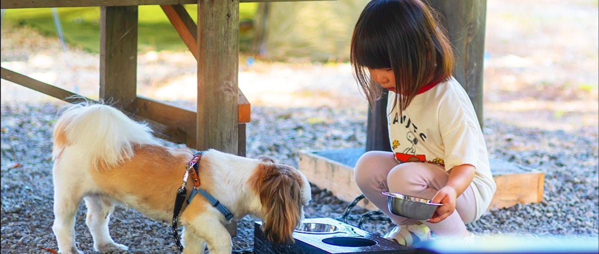 遊び心から生まれるプロダクト。ワクワクを形にするWebエンジニア募集！！