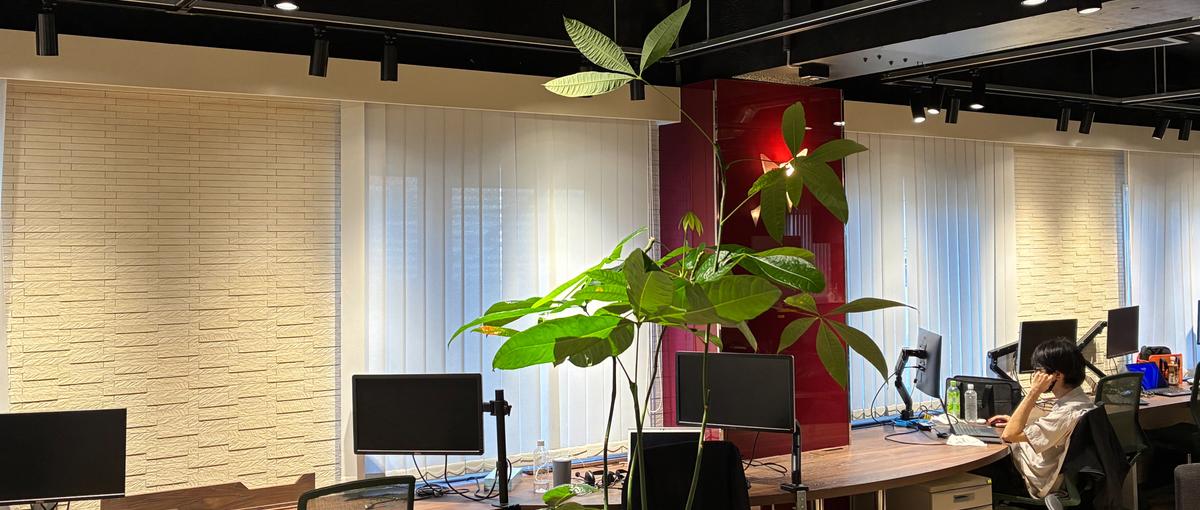 エンドユーザ案件/自社サービスでスキルアップ！Webシステムエンジニア募集